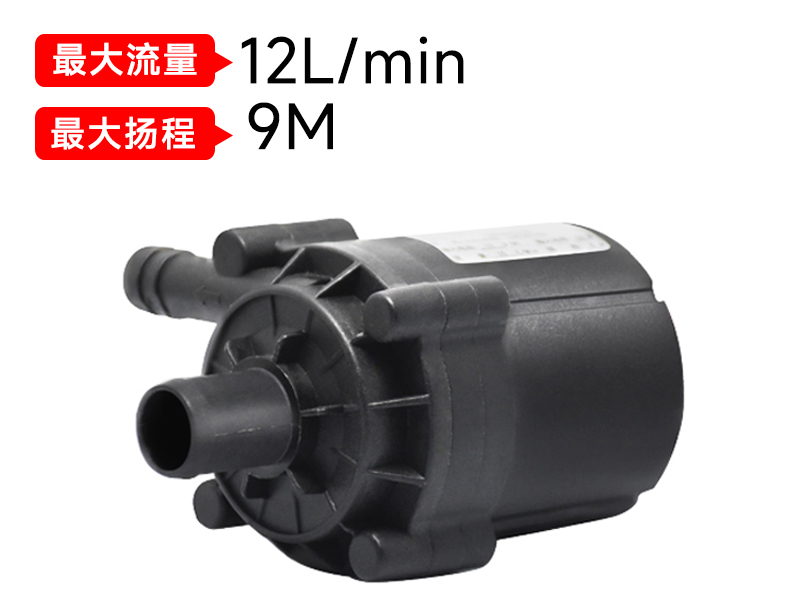 P4514醫(yī)療美容泵(12v/24v)