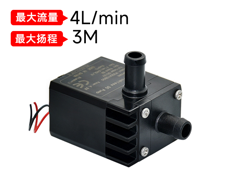 P3004醫(yī)療美容泵(12v)